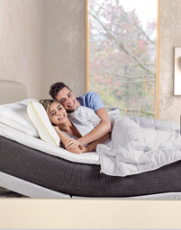 Base de Cama (NLP300FB)